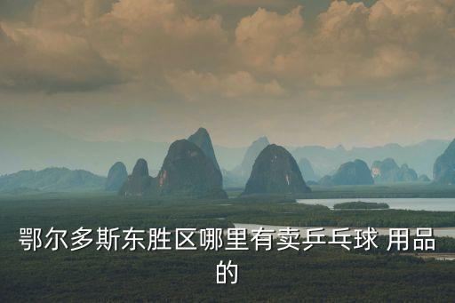 鄂爾多斯東勝區(qū)哪里有賣乒乓球 用品的