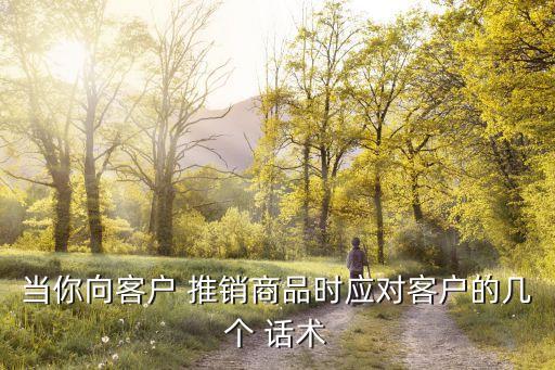 當(dāng)你向客戶(hù) 推銷(xiāo)商品時(shí)應(yīng)對(duì)客戶(hù)的幾個(gè) 話(huà)術(shù)