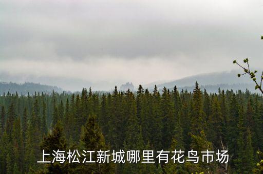  上海松江新城哪里有花鳥(niǎo)市場(chǎng)