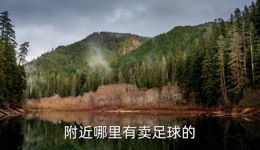 附近哪里有賣(mài)足球的