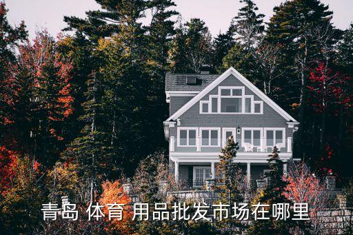 來運體育用品,體育用品創(chuàng)業(yè)計劃書