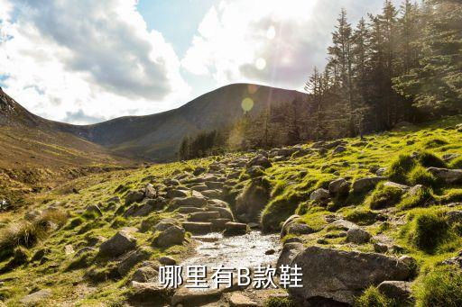 哪里有B款鞋