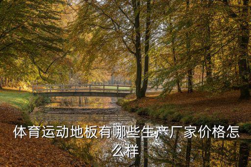  體育運動地板有哪些生產(chǎn)廠家價格怎么樣