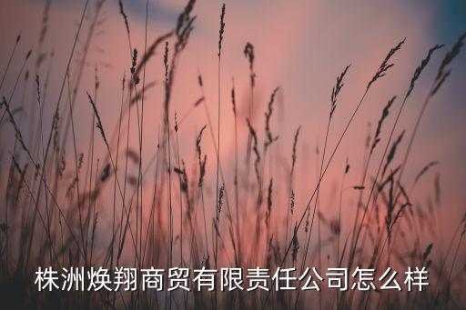 株洲煥翔商貿有限責任公司怎么樣