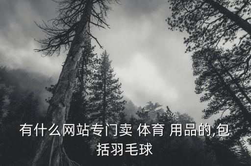 有什么網(wǎng)站專門(mén)賣(mài) 體育 用品的,包括羽毛球