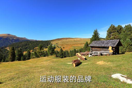 運(yùn)動(dòng)服裝的品牌
