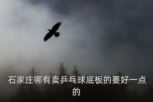  石家莊哪有賣乒乓球底板的要好一點的