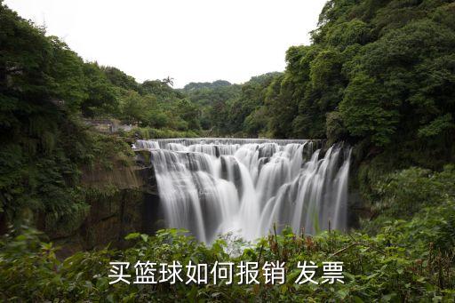 買(mǎi)籃球如何報(bào)銷(xiāo) 發(fā)票