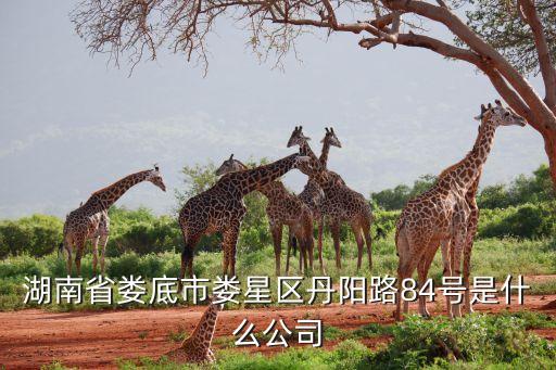 湖南省婁底市婁星區(qū)丹陽路84號(hào)是什么公司