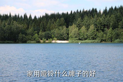 家用啞鈴什么牌子的好