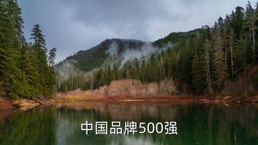 中國品牌500強(qiáng)