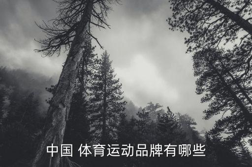 中國 體育運動品牌有哪些