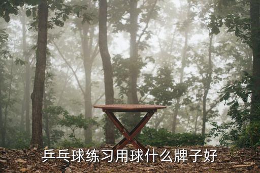 乒乓球練習用球什么牌子好