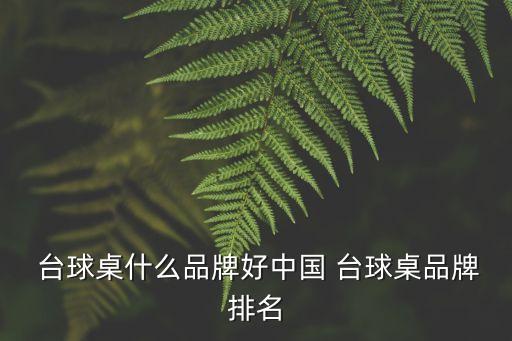  臺(tái)球桌什么品牌好中國 臺(tái)球桌品牌排名