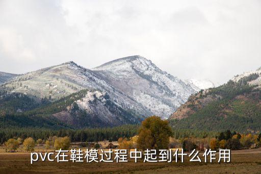 pvc在鞋模過程中起到什么作用