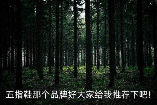 五指鞋那個(gè)品牌好大家給我推薦下吧!