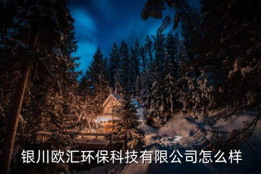  銀川歐匯環(huán)?？萍加邢薰驹趺礃? class=
