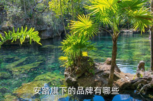 體育用品商標(biāo)運(yùn)營團(tuán)隊(duì),商標(biāo)體育用品屬于第幾類