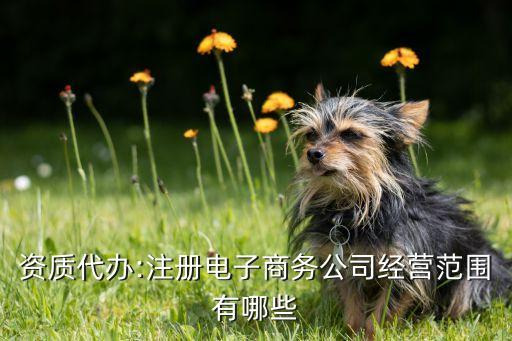 資質(zhì)代辦:注冊(cè)電子商務(wù)公司經(jīng)營范圍有哪些