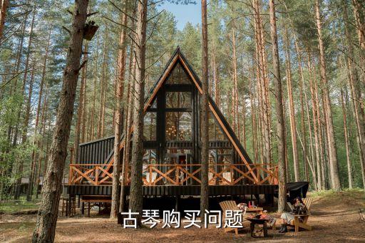 古琴購(gòu)買問題