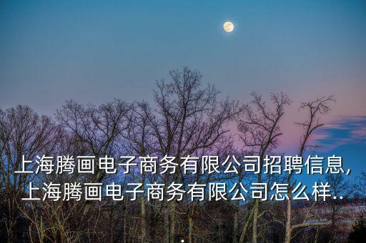 上海騰畫電子商務(wù)有限公司招聘信息,上海騰畫電子商務(wù)有限公司怎么樣...
