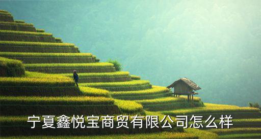 寧夏鑫悅寶商貿有限公司怎么樣