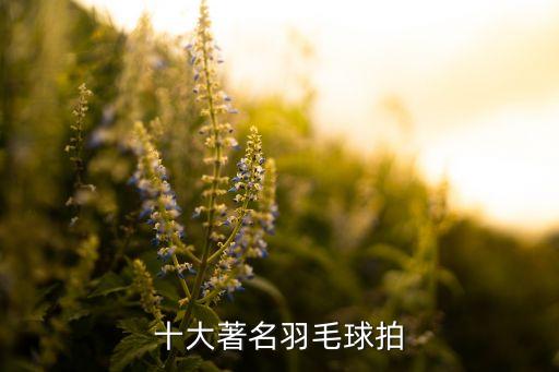 十大著名羽毛球拍