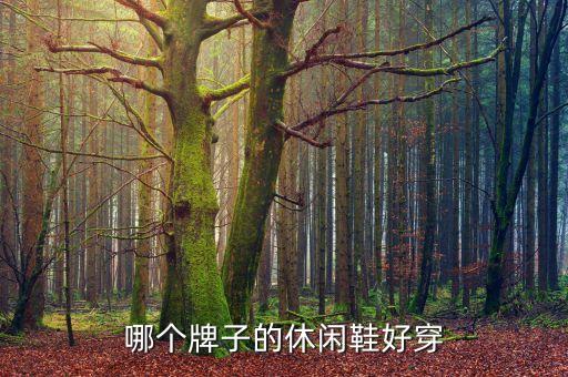 哪個(gè)牌子的休閑鞋好穿