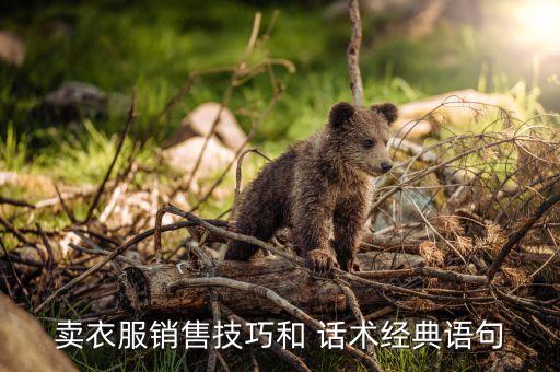 賣衣服銷售技巧和 話術(shù)經(jīng)典語句