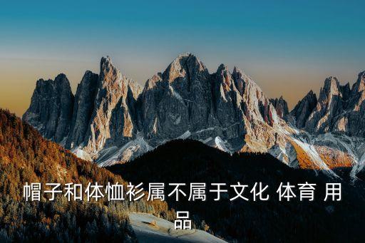體育用品包括體育服裝嗎,體育大學附近體育用品實體店