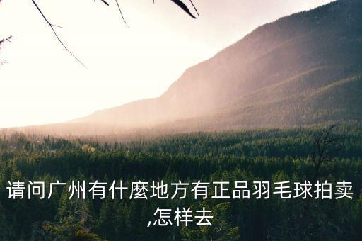 請(qǐng)問(wèn)廣州有什麼地方有正品羽毛球拍賣(mài),怎樣去