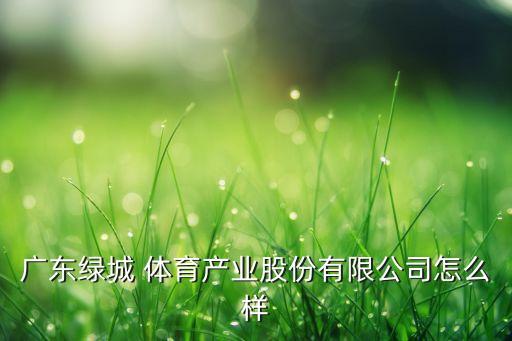 廣東綠城 體育產業(yè)股份有限公司怎么樣