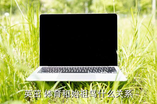 英茁 體育和始祖鳥什么關系