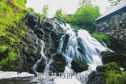 銷(xiāo)售技巧和 話(huà)術(shù)