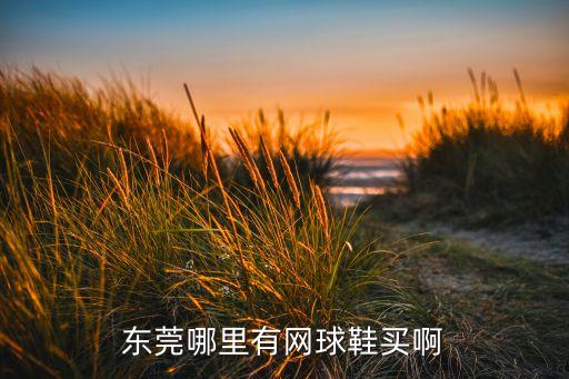 東莞哪里有網(wǎng)球鞋買(mǎi)啊