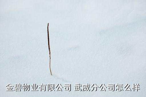 金碧物業(yè)有限公司 武威分公司怎么樣
