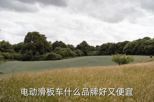 電動(dòng)滑板車什么品牌好又便宜