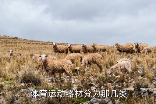  體育運(yùn)動(dòng)器材分為那幾類