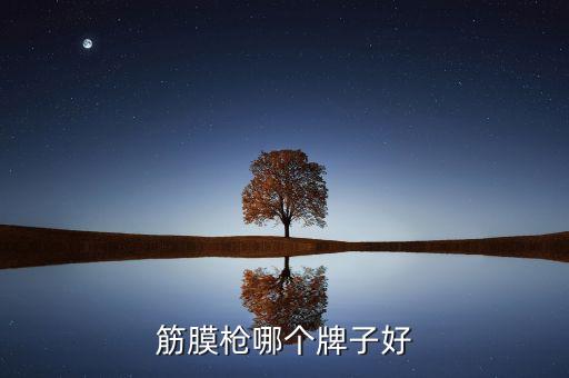 筋膜槍哪個牌子好