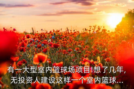 有一大型室內(nèi)籃球場項目!想了幾年,無投資人建設這樣一個室內(nèi)籃球...