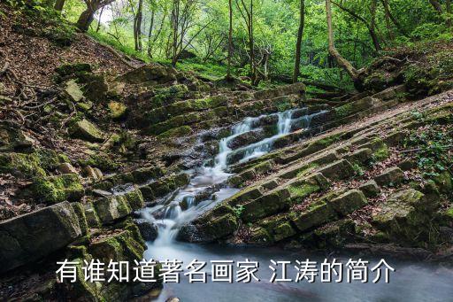 有誰知道著名畫家 江濤的簡介