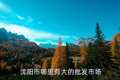 沈陽體育用品兒童,沈陽最大的體育用品批發(fā)市場