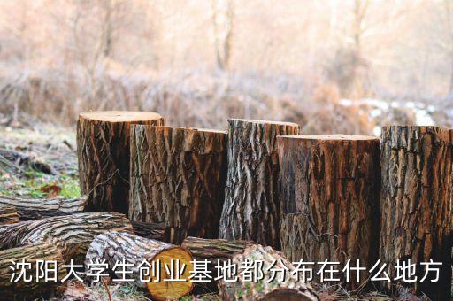 沈陽(yáng)大學(xué)生創(chuàng)業(yè)基地都分布在什么地方