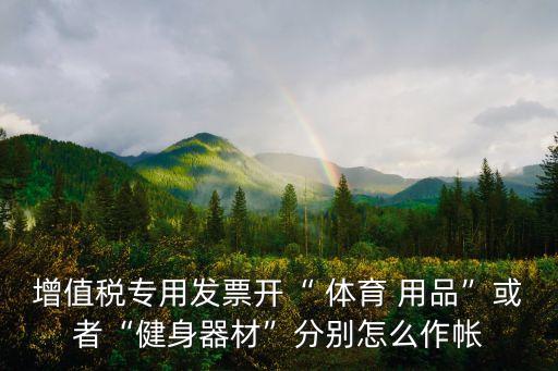 體育用品進(jìn)什么科目,學(xué)校購買體育用品計(jì)入什么科目