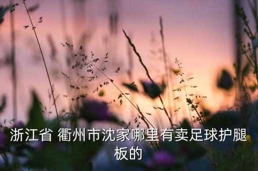 浙江省 衢州市沈家哪里有賣足球護(hù)腿板的