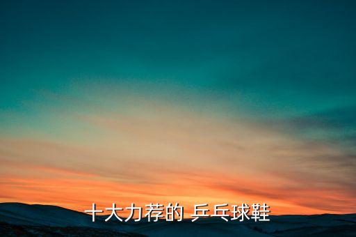 濟寧乒乓球體育用品專賣店,三亞乒乓球體育用品專賣店地址