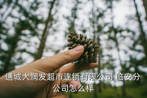 通城大潤(rùn)發(fā)超市連鎖有限公司 臨安分公司怎么樣