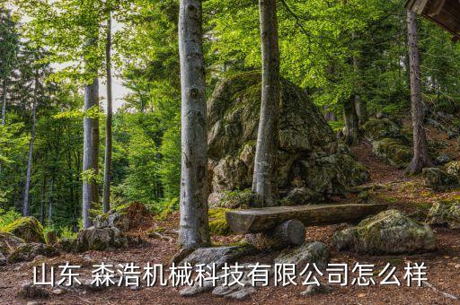 山東 森浩機(jī)械科技有限公司怎么樣