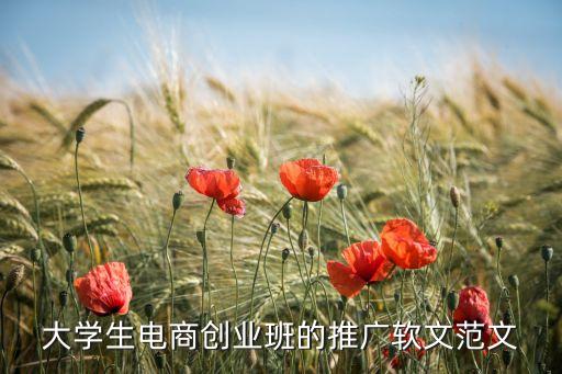 大學(xué)生電商創(chuàng)業(yè)班的推廣軟文范文