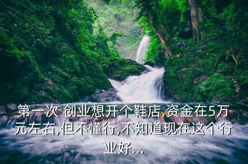 第一次 創(chuàng)業(yè)想開(kāi)個(gè)鞋店,資金在5萬(wàn)元左右,但不懂行,不知道現(xiàn)在這個(gè)行業(yè)好...